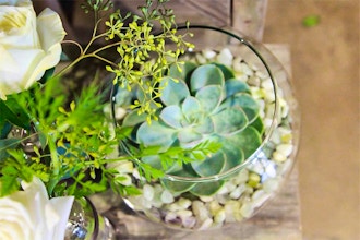 An Experience for Two: Create a Terrarium Together